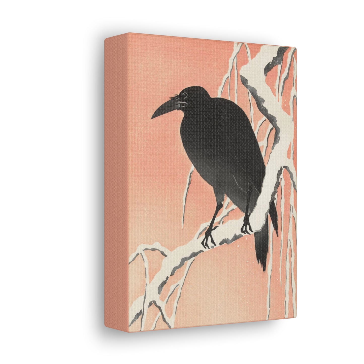 Crow on Snowy Branch