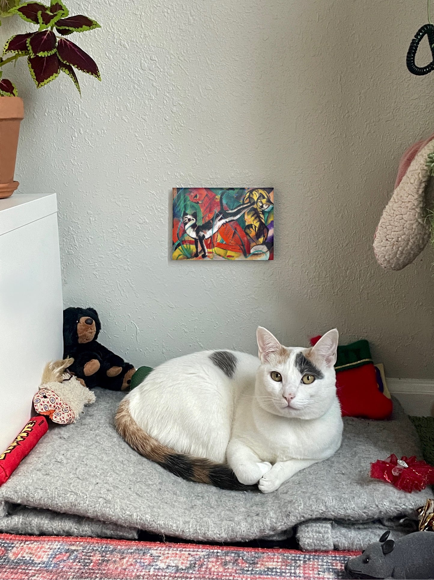 Three Cats