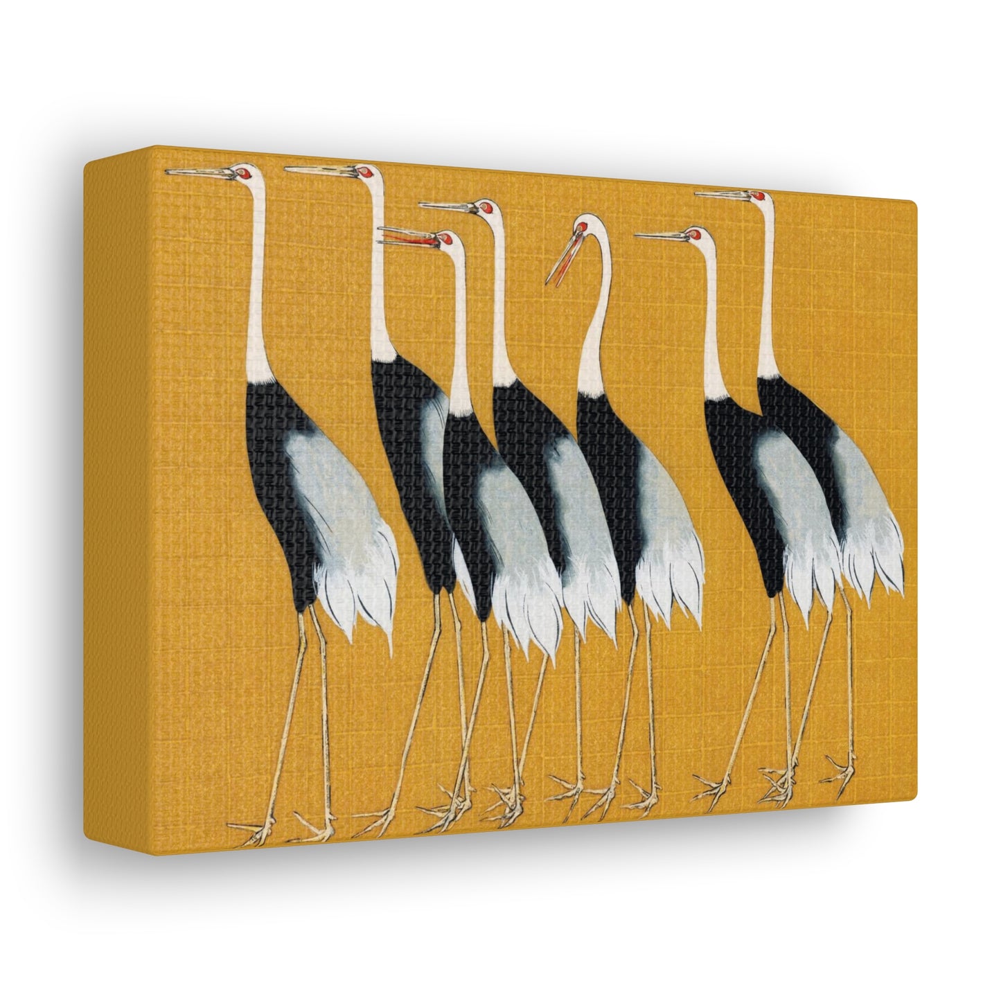 A Traditional Portrait of a Flock of Beautiful Japanese Red Crown Crane