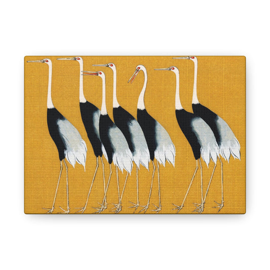 A Traditional Portrait of a Flock of Beautiful Japanese Red Crown Crane
