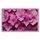 Blooming Pink Flowers
