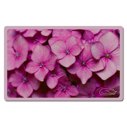 Blooming Pink Flowers