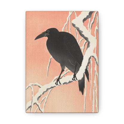 Crow on Snowy Branch