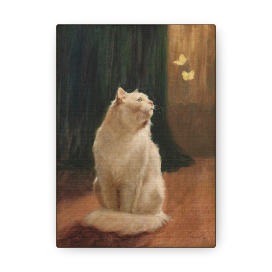 White Cat and two Brimstone Butterflies