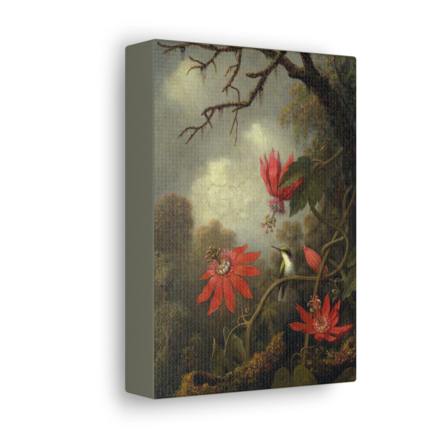 Colibrí y Pasifloras