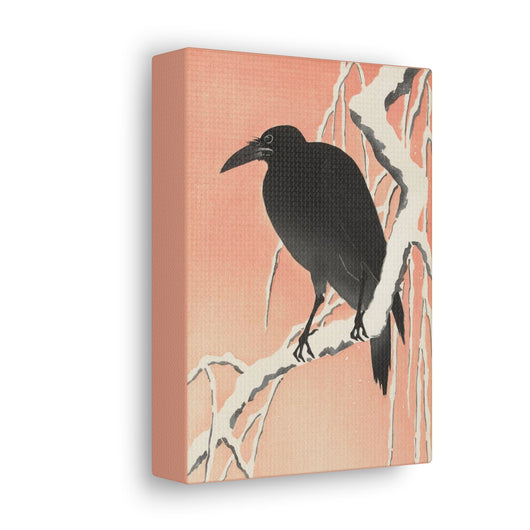 Crow on Snowy Branch