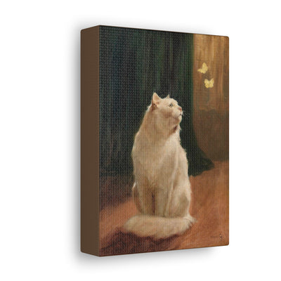 Gato blanco y dos mariposas de azufre.