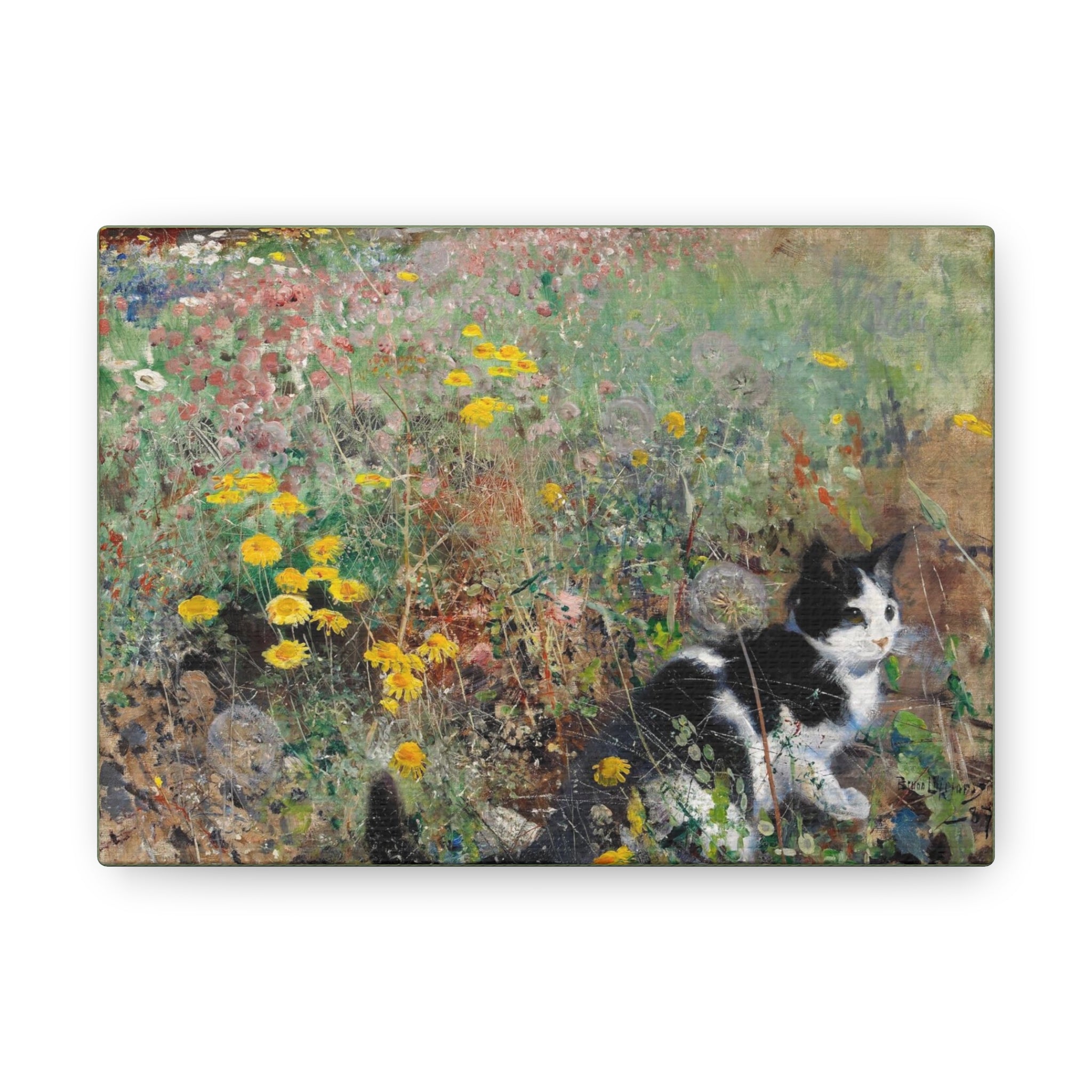 Gato en un prado florido