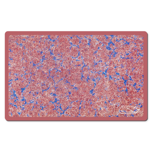 Blue and Pink
