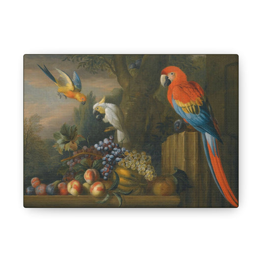 Art For Your Cat A Macaw, Ducks, Parrots and Other Birds in a Landscape Jakob Bogdani 1710