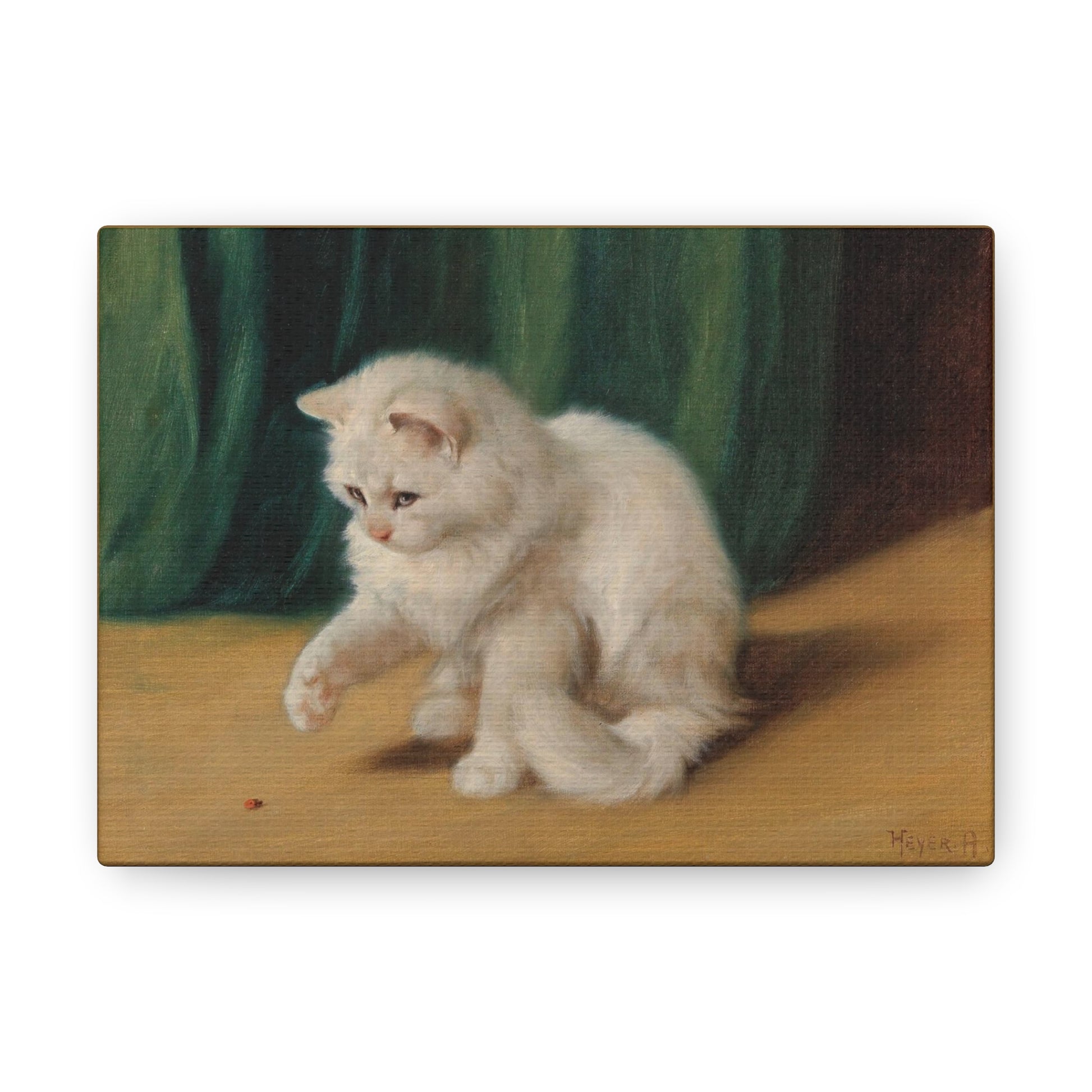 Art For Your Cat Cat with Ladybird Arthur Heyer 1923