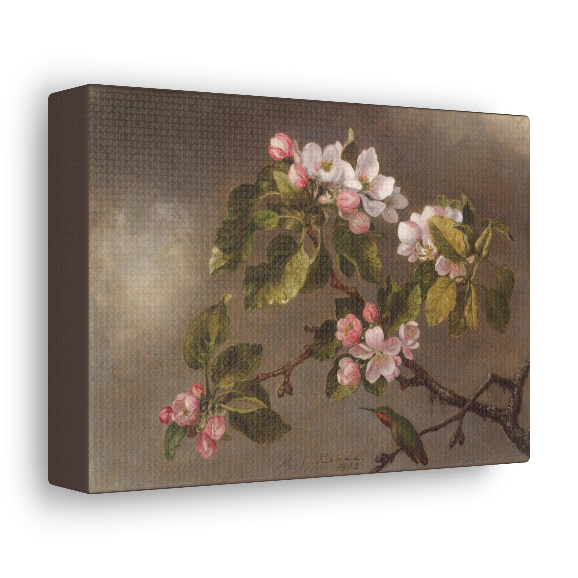 Art For Your Cat Hummingbird and Apple Blossoms MJ Heade 1875