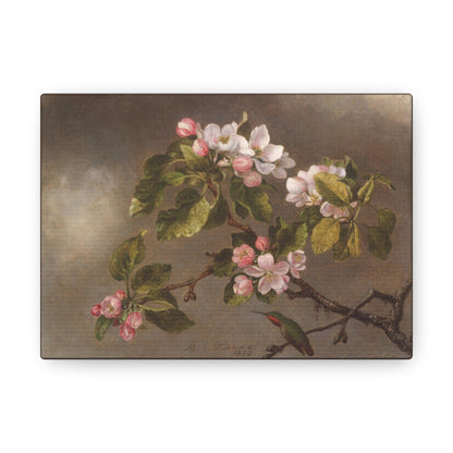 Art For Your Cat Hummingbird and Apple Blossoms MJ Heade 1875