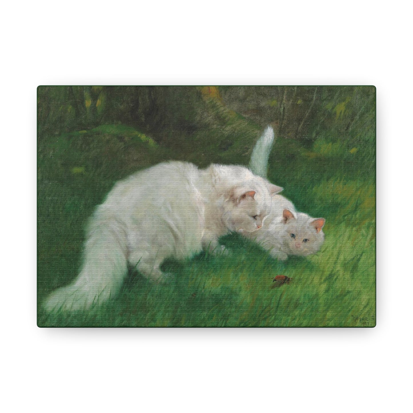 Art For Your Cat Interesting Discovery Arthur Heyer 1923