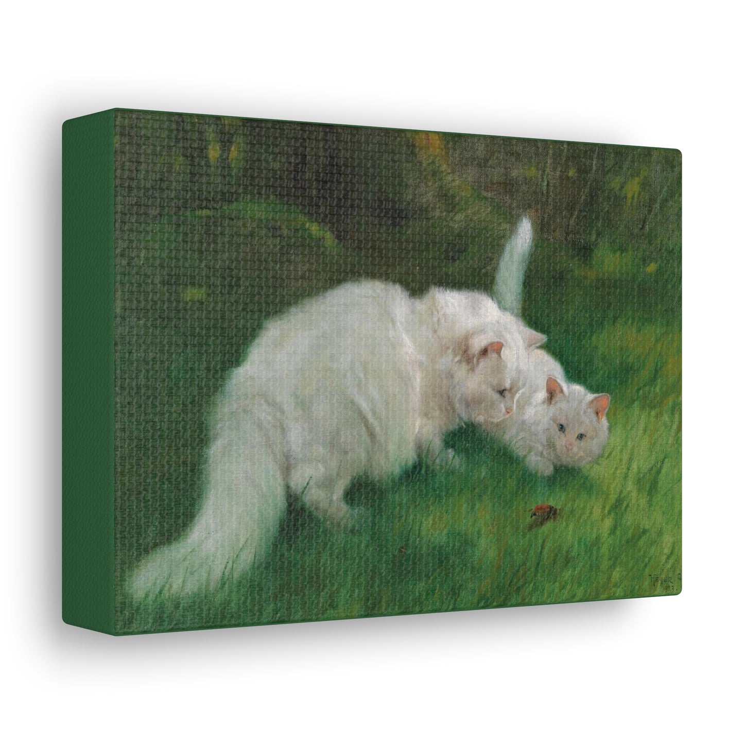 Art For Your Cat Interesting Discovery Arthur Heyer 1923