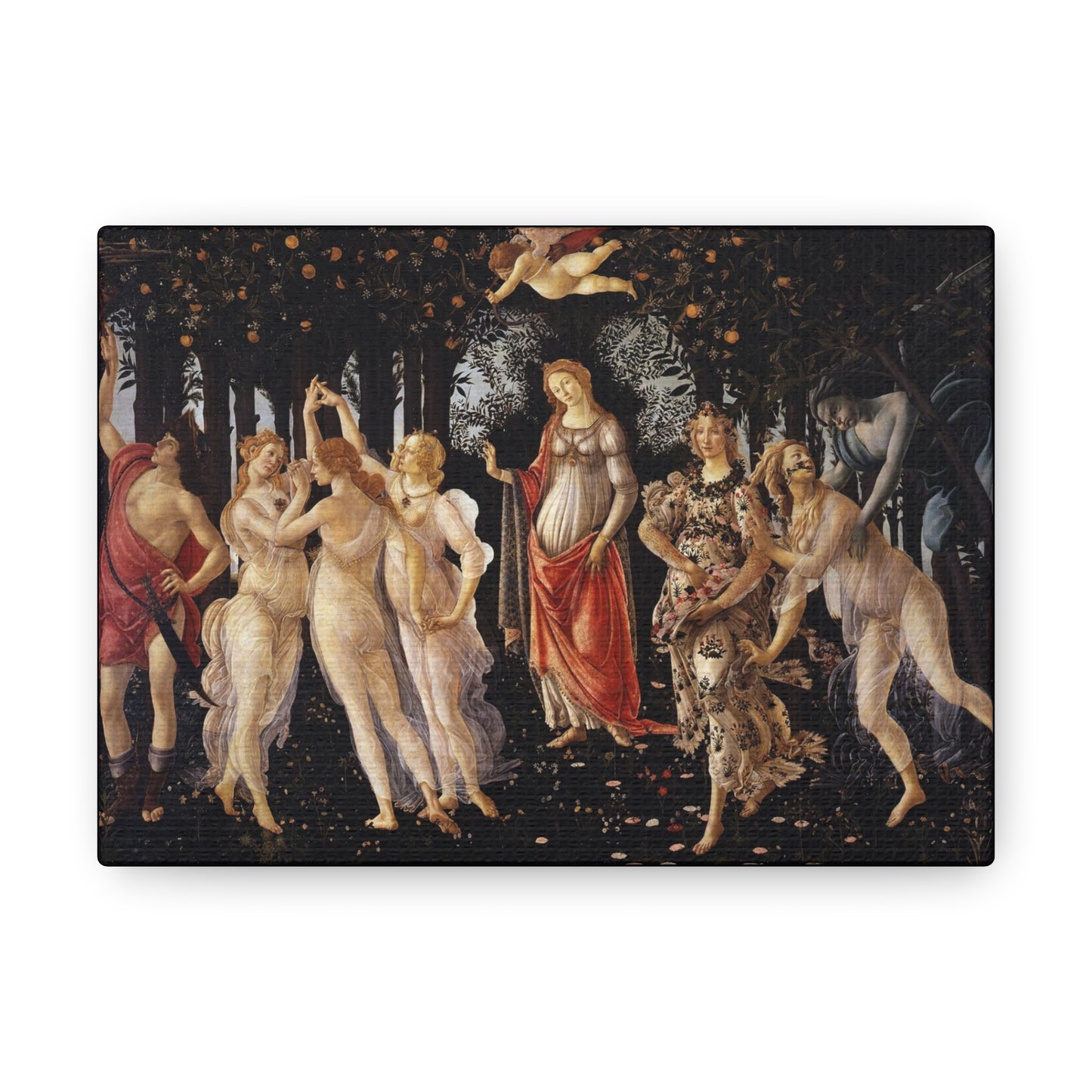Art For Your Cat Primavera Sandro Botticelli 1480