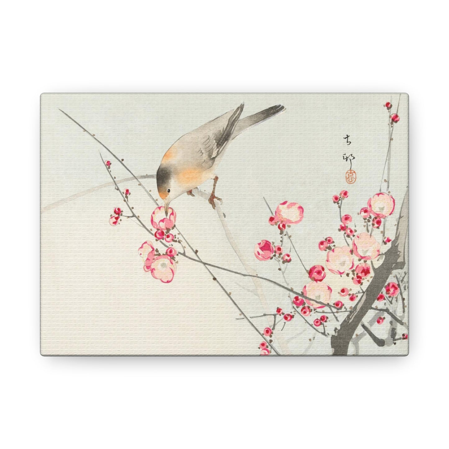 Art For Your Cat Songbird on Blossom Branch Ohara Koson 1936