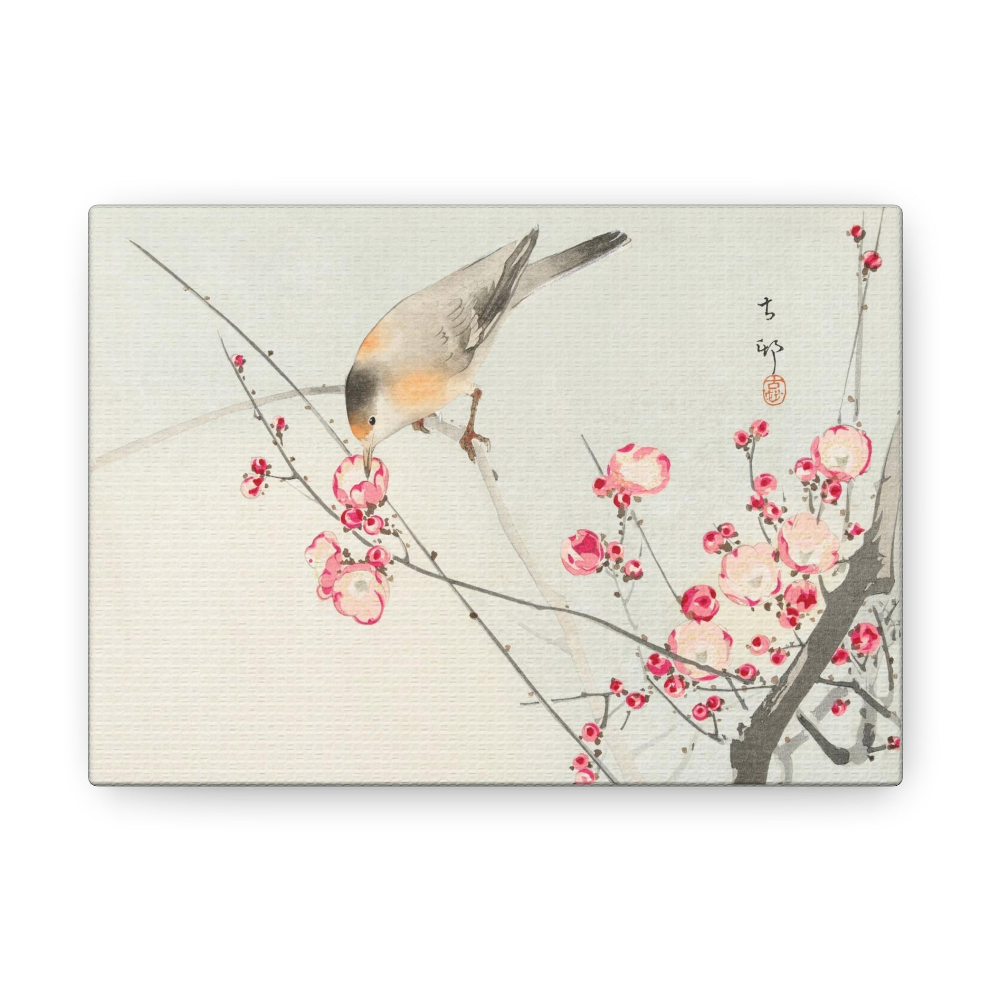 Art For Your Cat Songbird on Blossom Branch Ohara Koson 1936