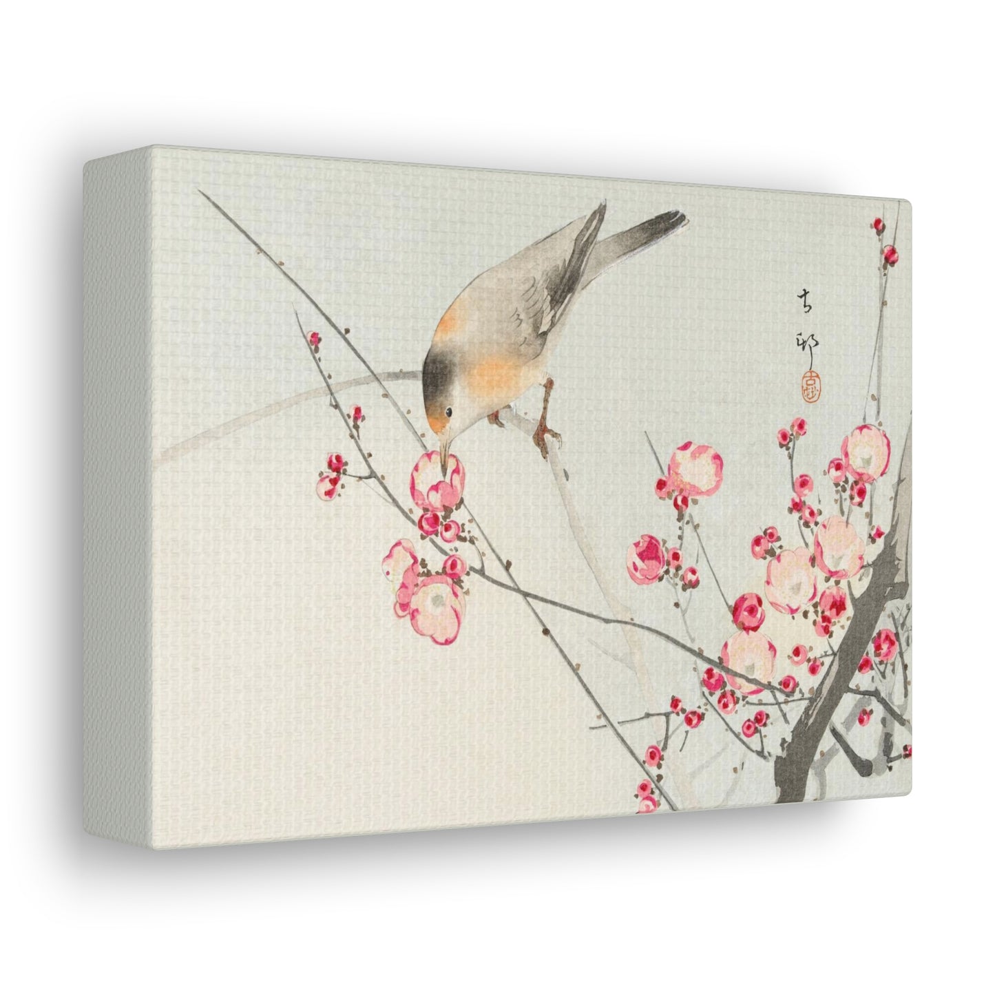 Art For Your Cat Songbird on Blossom Branch Ohara Koson 1936