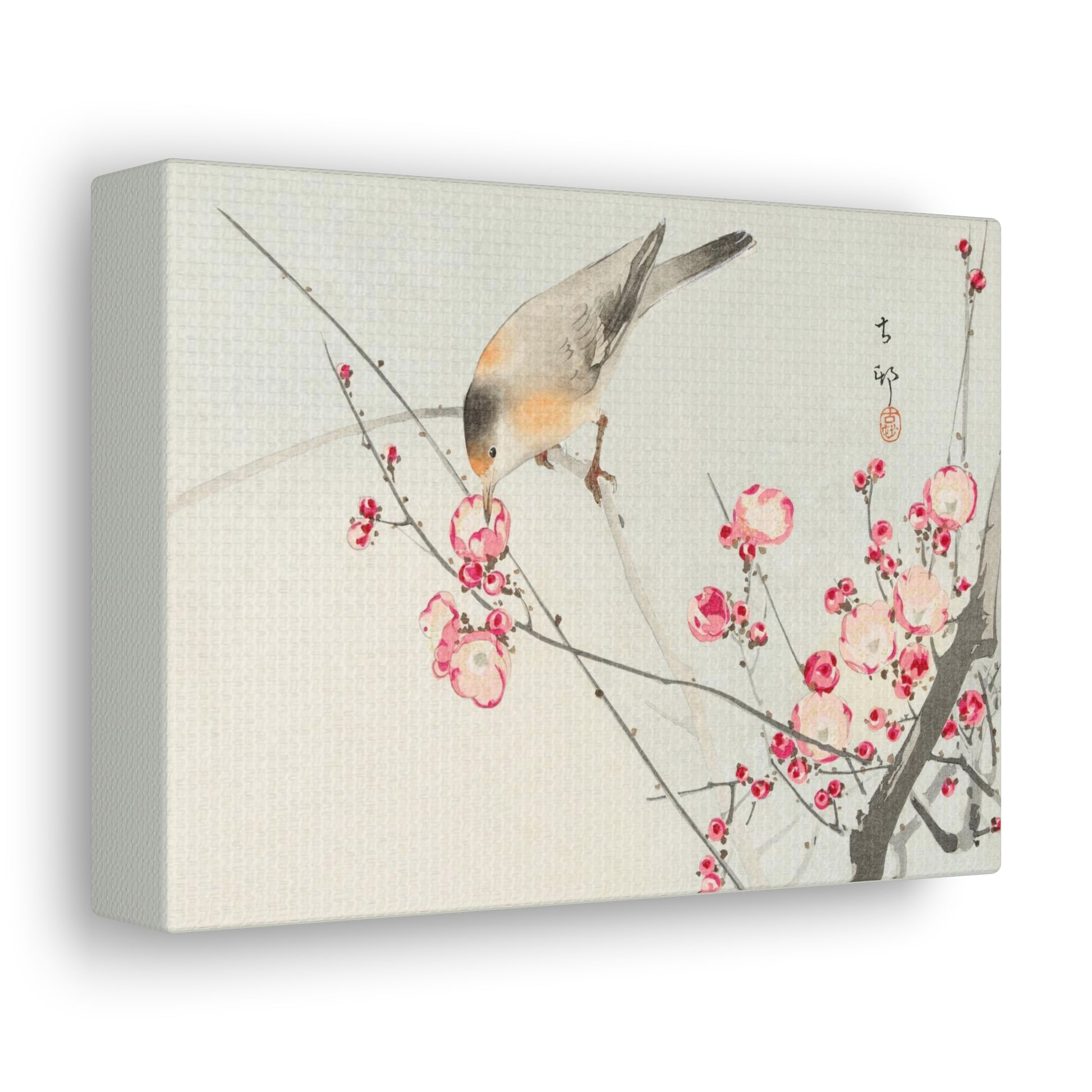 Art For Your Cat Songbird on Blossom Branch Ohara Koson 1936