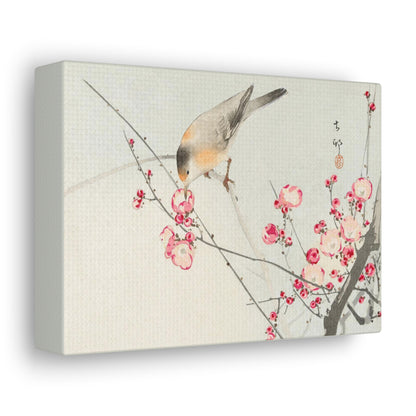 Art For Your Cat Songbird on Blossom Branch Ohara Koson 1936
