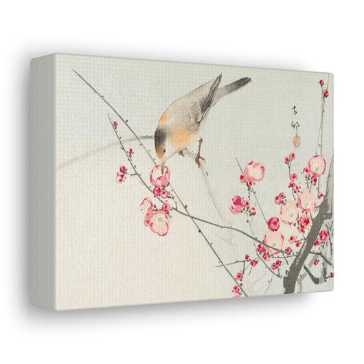 Art For Your Cat Songbird on Blossom Branch Ohara Koson 1936