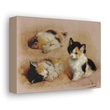 Art For Your Cat Studies of an Awakening Kitten Henriëtte Ronner-Knip 1878