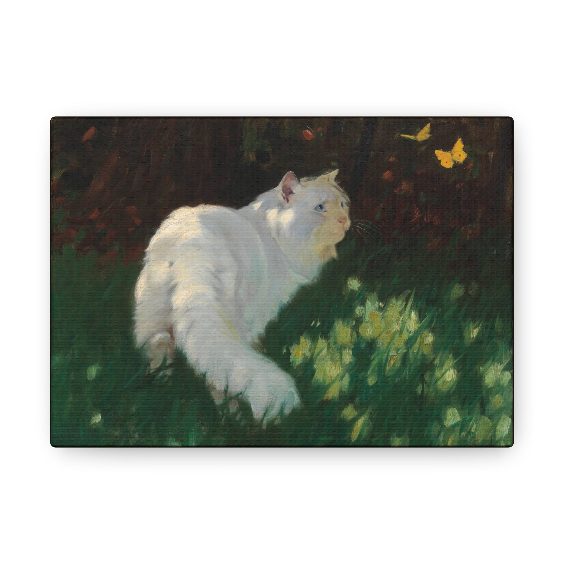 Art For Your Cat White Cat and Butterflies Arthur Heyer 1923 1