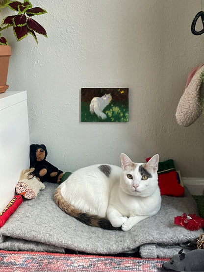 White Cat and Butterflies