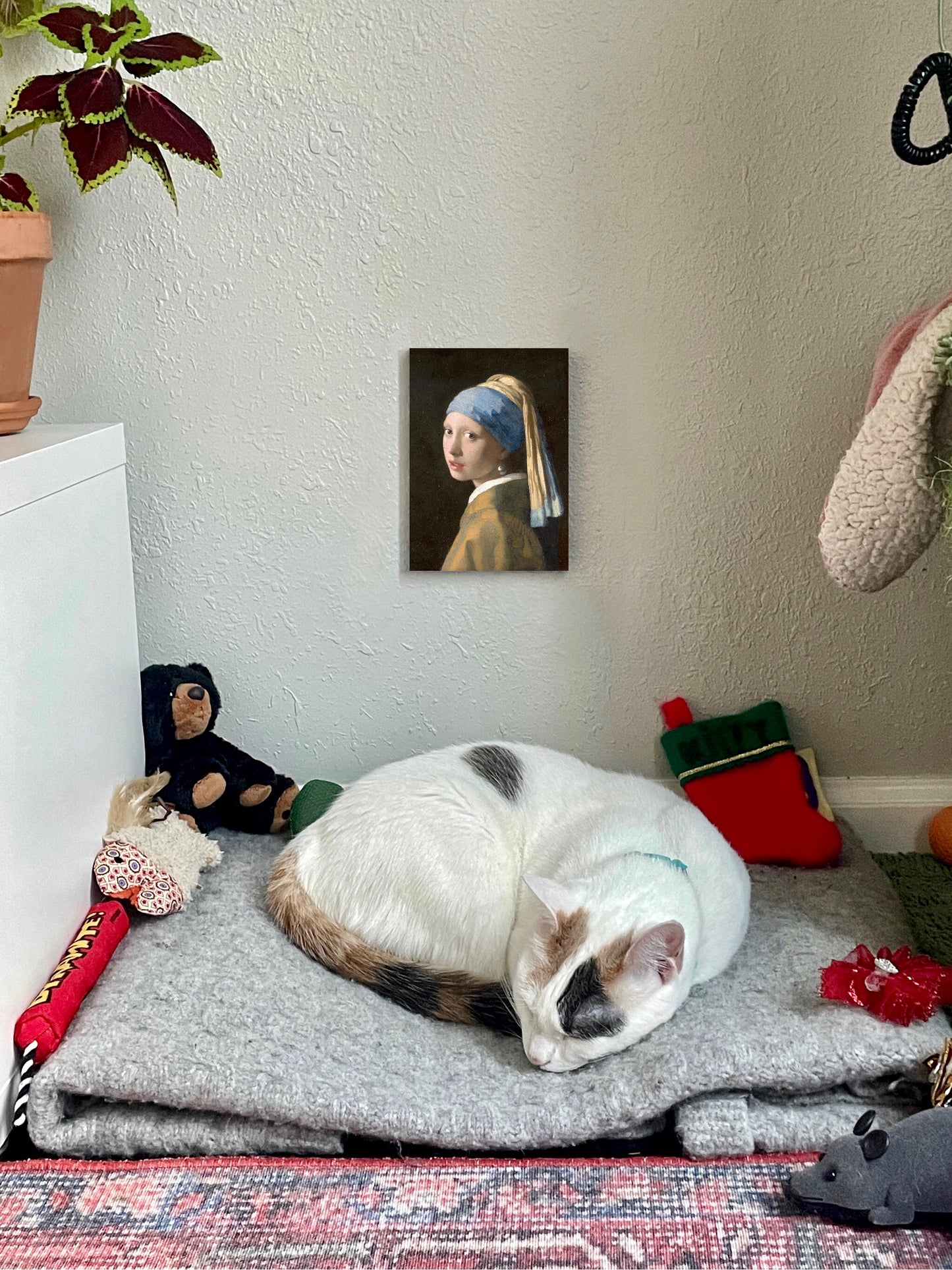 Girl with a Pearl Earring