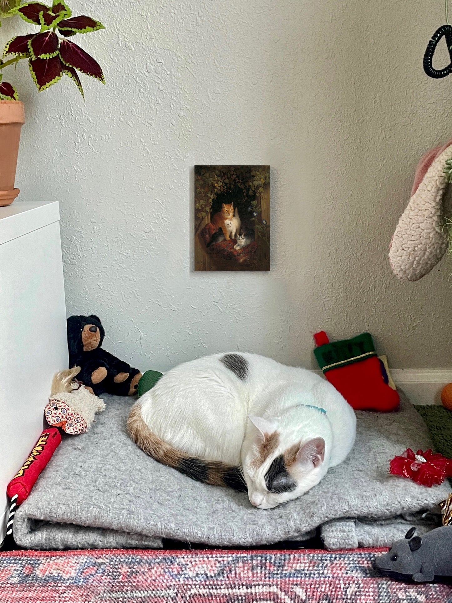 Cat with Kittens