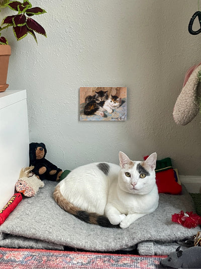 Best of Friends