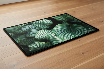 Calathea Leaf Mat Low Angle on Wood Floor