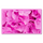 Pink Flowers