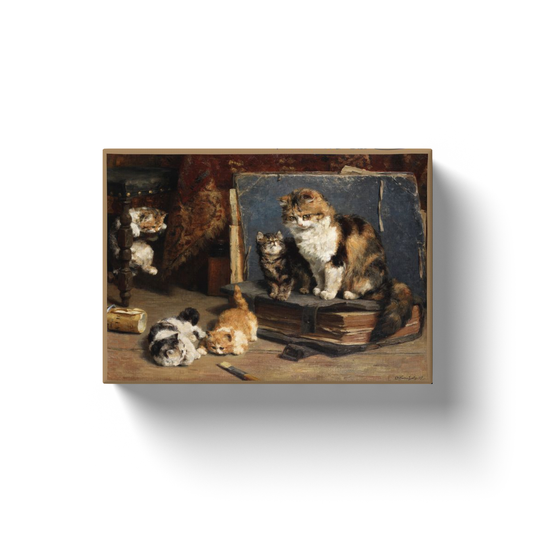 generated-proPreview-0