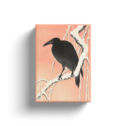 Cuervo en rama nevada