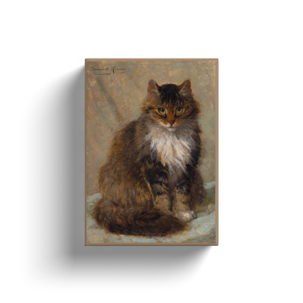 The Maine Coon