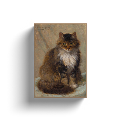 The Maine Coon