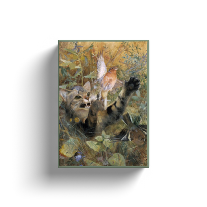 Un gato y un pinzón