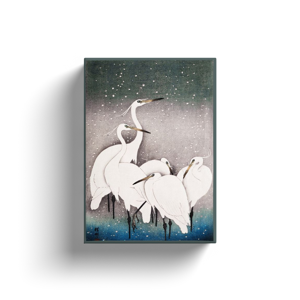 Group of Egrets