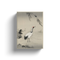 A Traditional Portrait of a Beautiful Japanese Crane