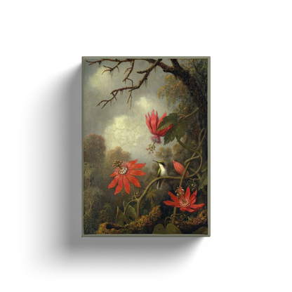 Colibrí y Pasifloras